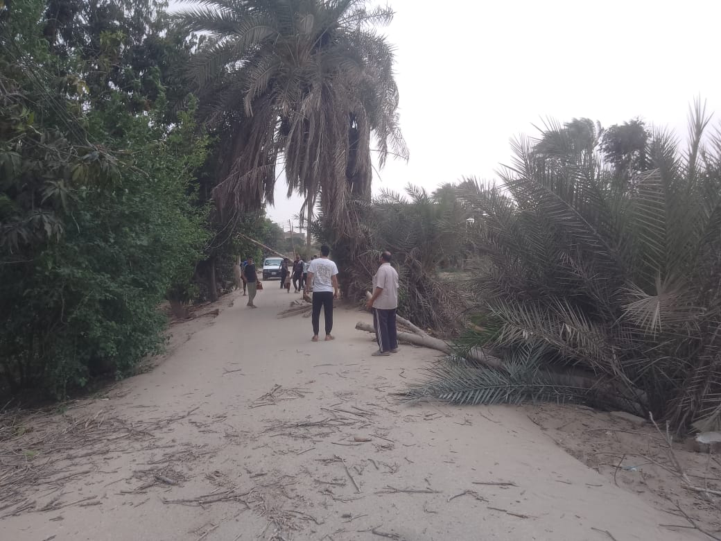 سقوط أشجار واعمدة انارة،فيتو