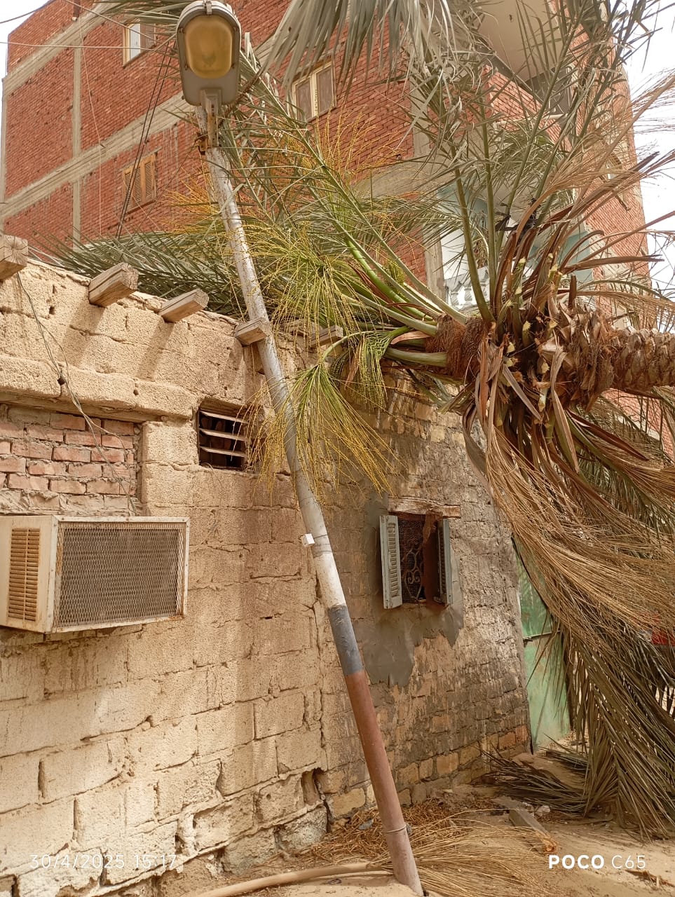 سقوط أشجار واعمدة انارة،فيتو