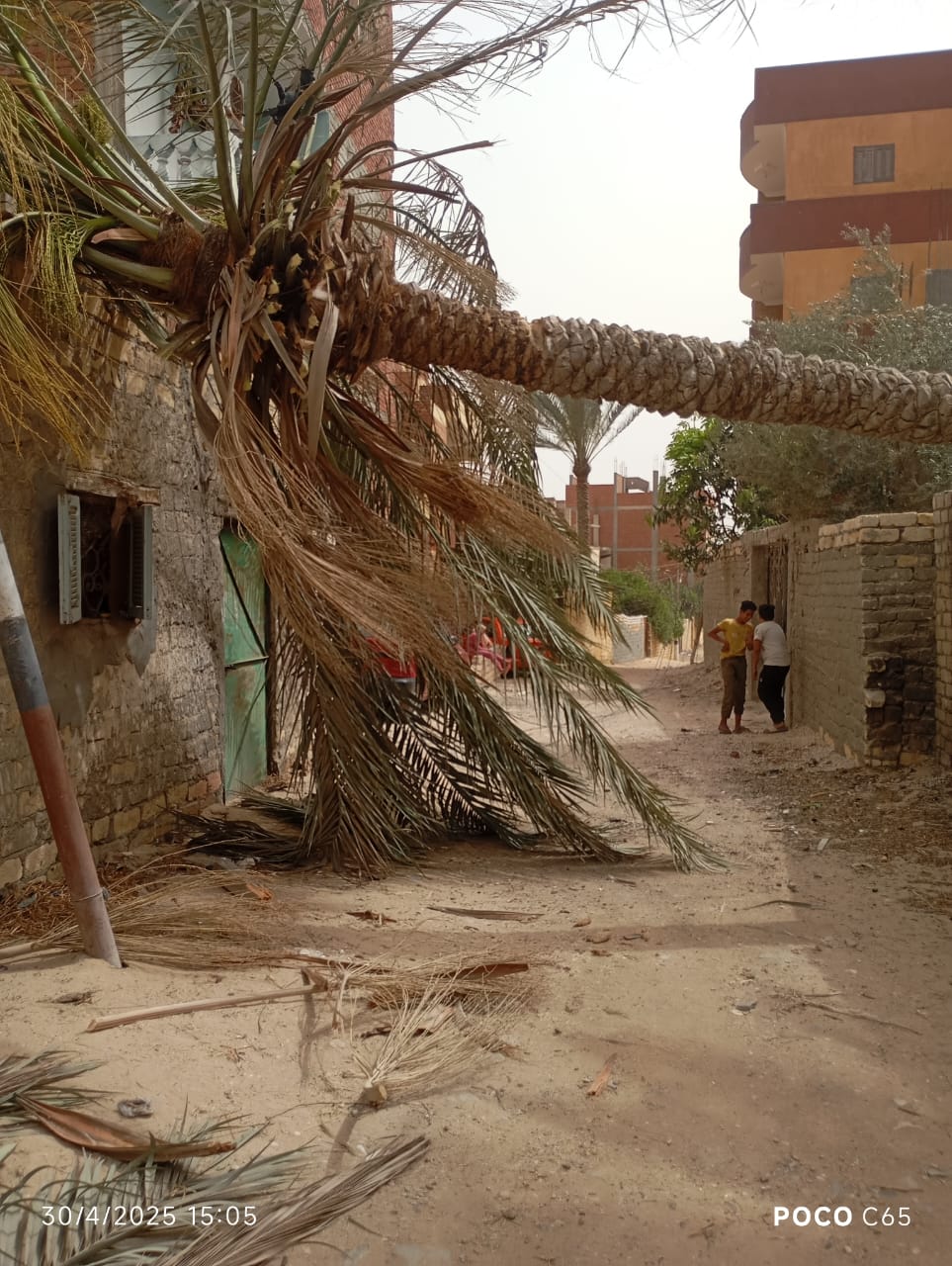 سقوط أشجار واعمدة انارة،فيتو