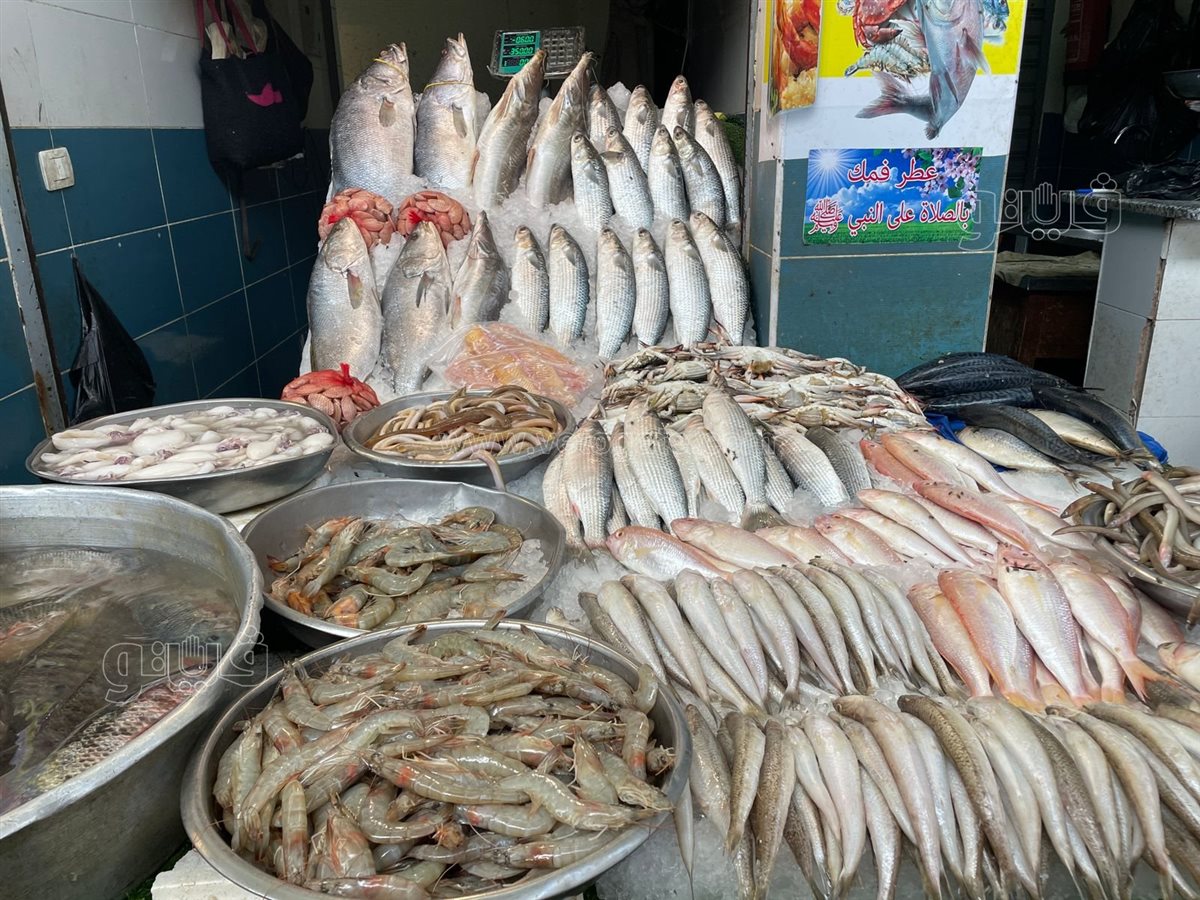 أسعار السمك اليوم