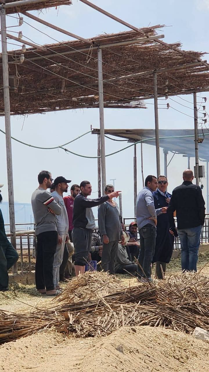 جانب من الحادث، فيتو