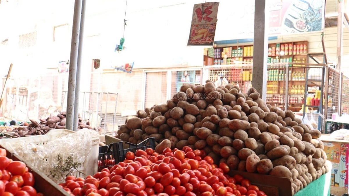 أسعار الخضراوات