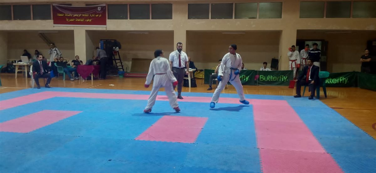 جانب من البطولة،فيتو