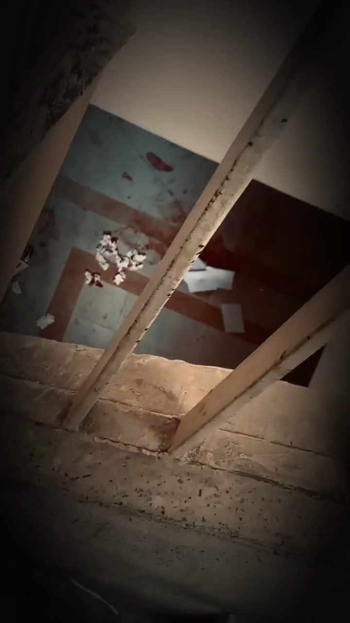 مكان وفاة طالبة كلية علوم الزقازيق،فيتو