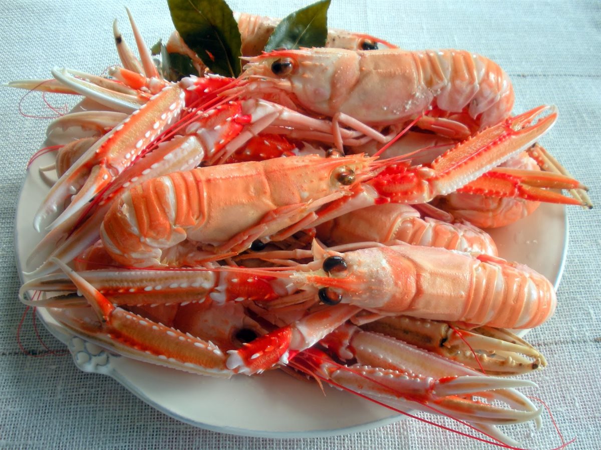 أسعار السمك اليوم