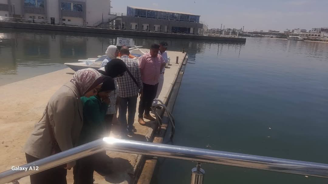 جانب من الحملات، فيتو