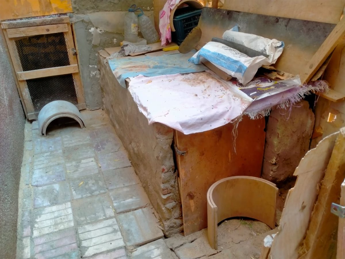 جانب من الحملات، فيتو