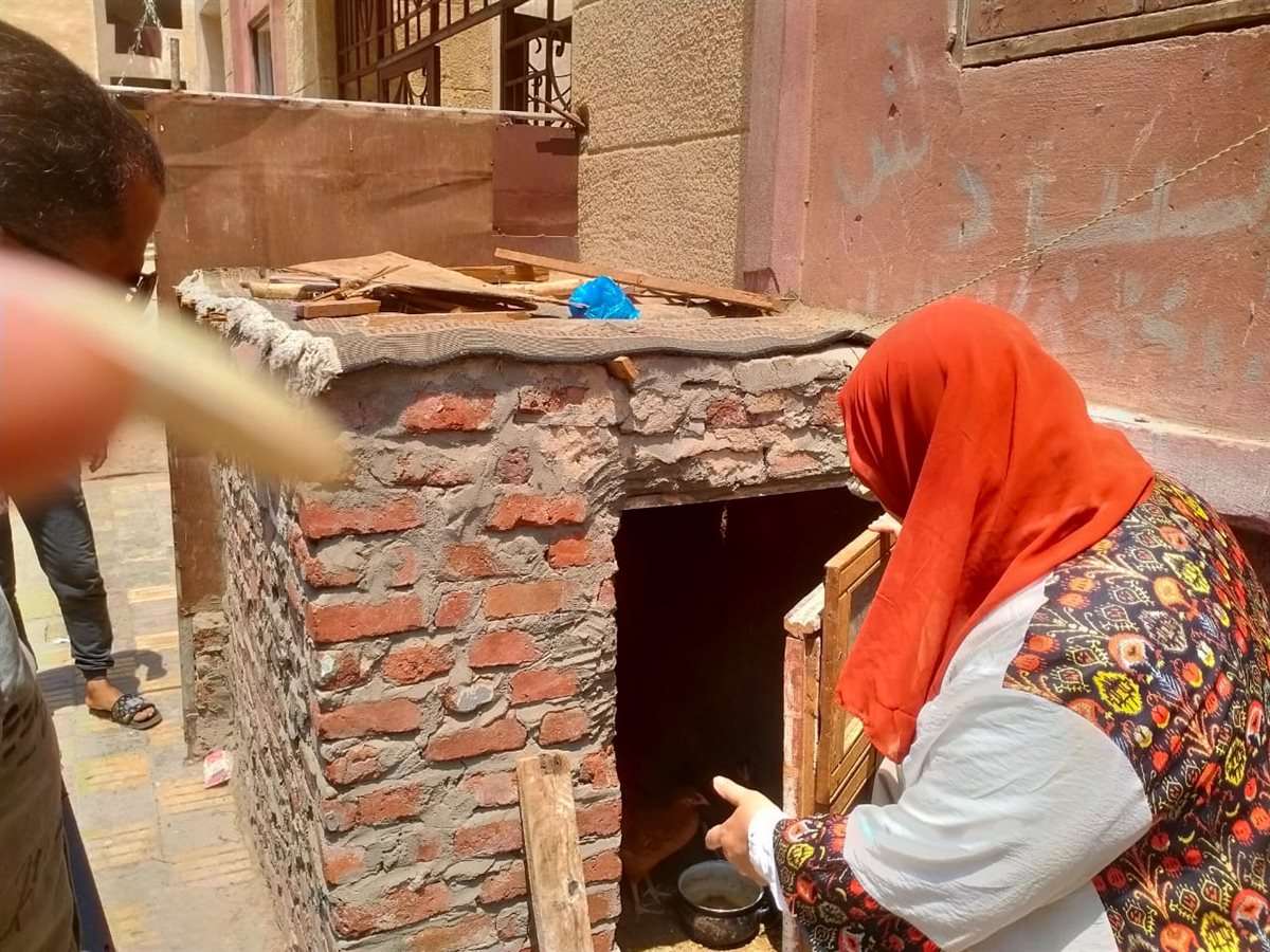 جانب من الحملات، فيتو