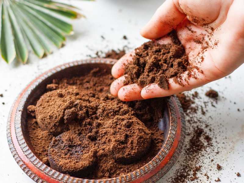 بقايا القهوة