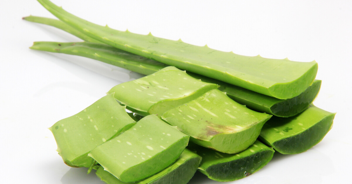 الصبار للبشرة