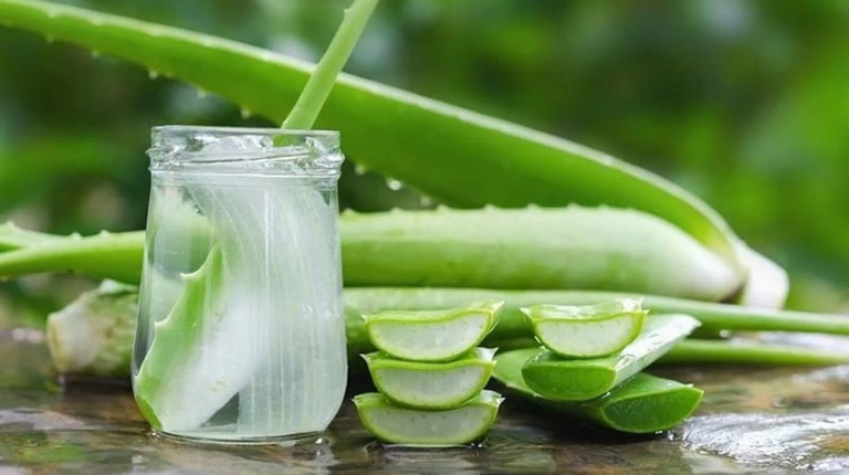 الصبار للعناية بالبشرة