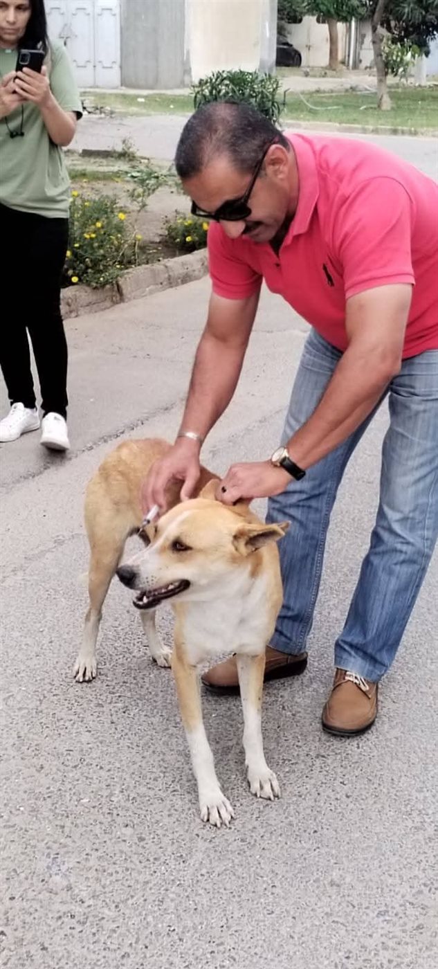 جانب من الحملة، فيتو