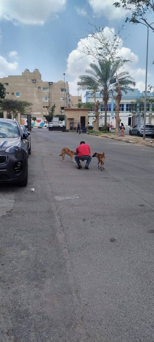 جانب من الحملة، فيتو