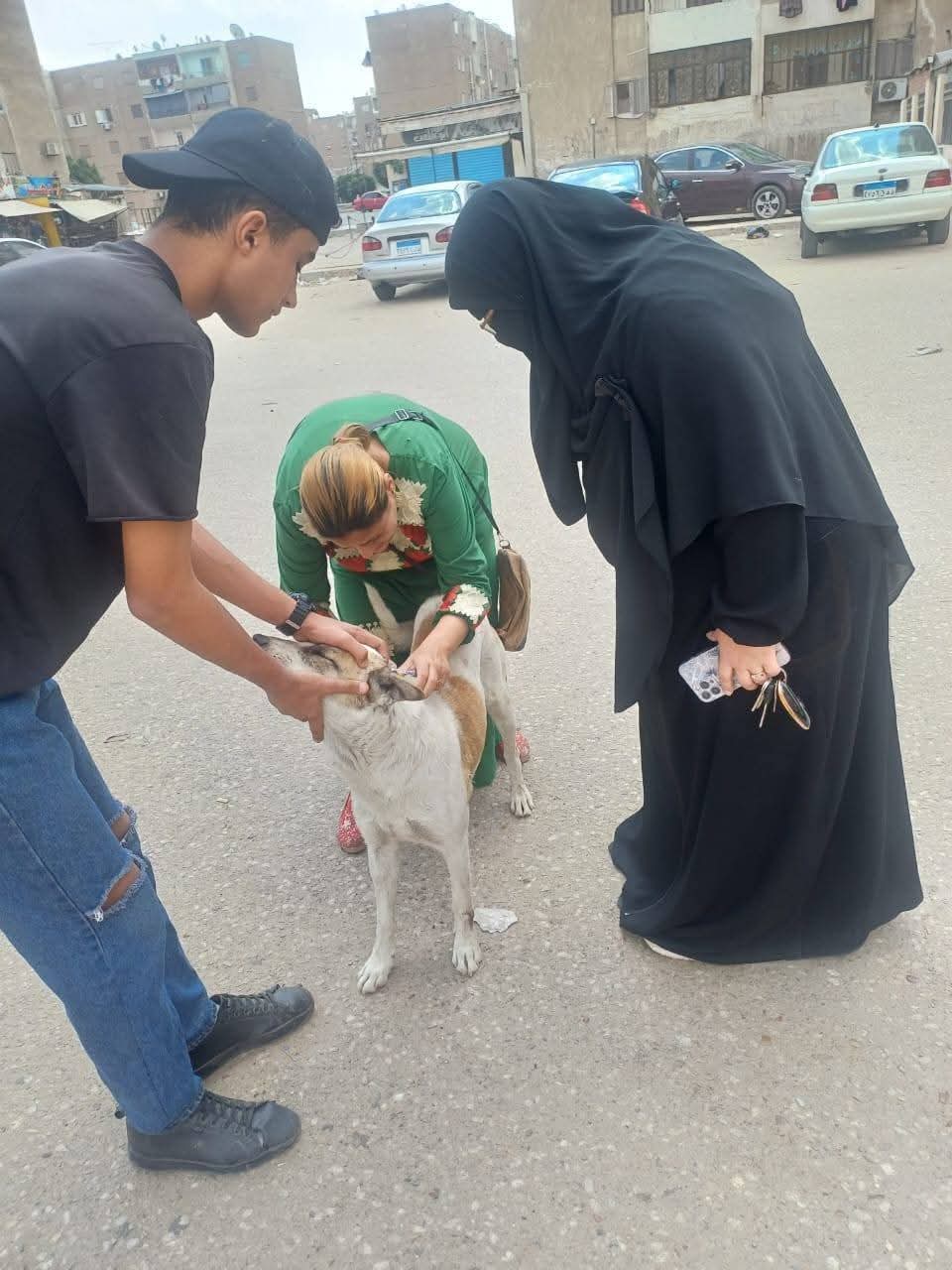 جانب من الحملة، فيتو