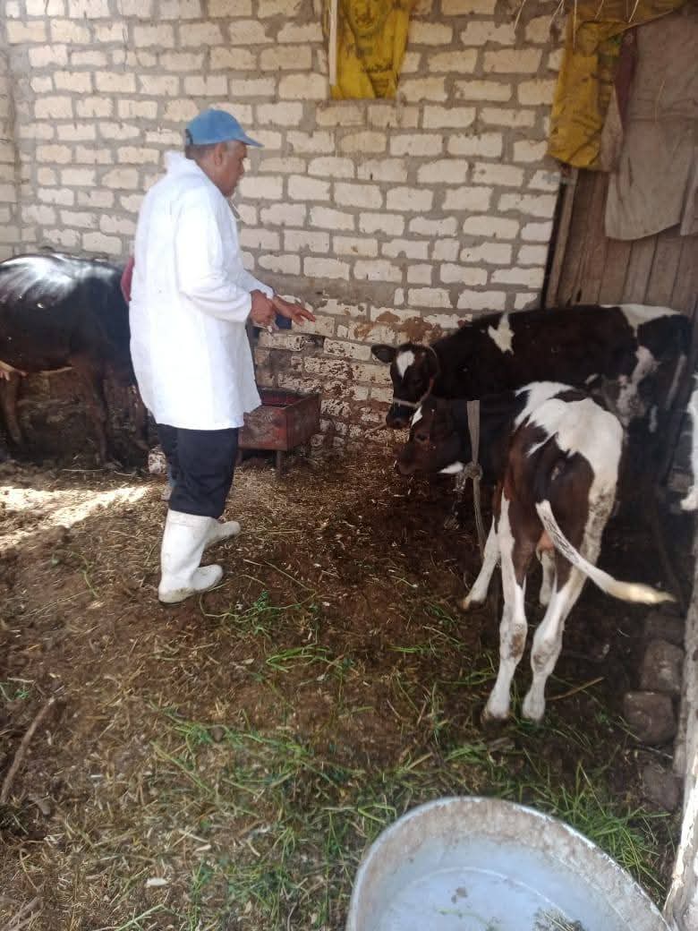 جانب من القافلة، فيتو