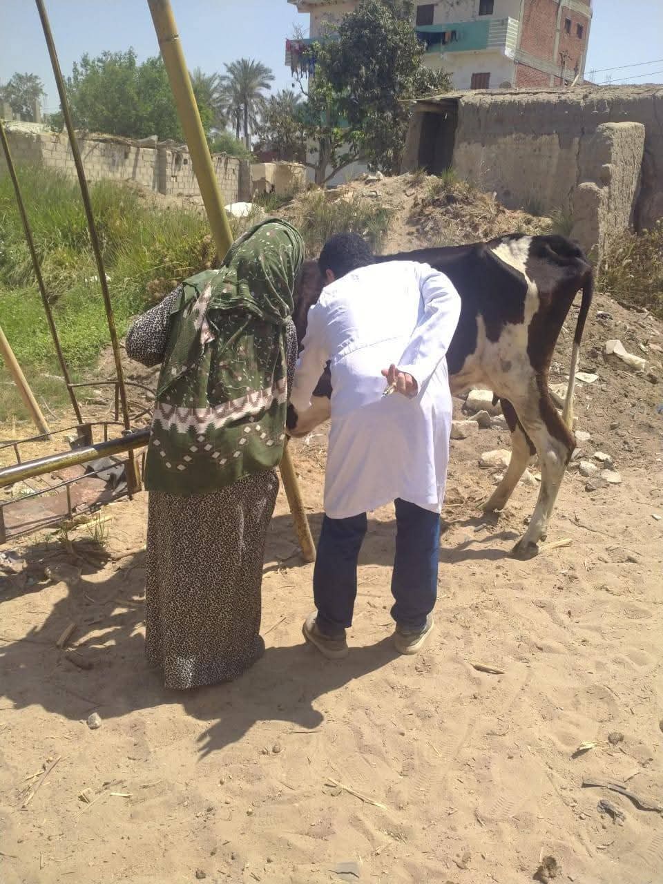 جانب من القافلة، فيتو