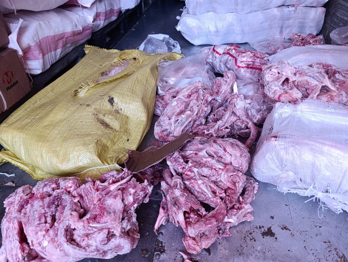 ضبط  هياكل دواحن غير صالحة للاستهلاك الادمي بالقليوبية،فيتو