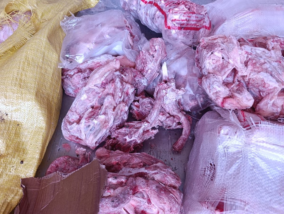 ضبط  هياكل دواحن غير صالحة للاستهلاك الادمي بالقليوبية،فيتو