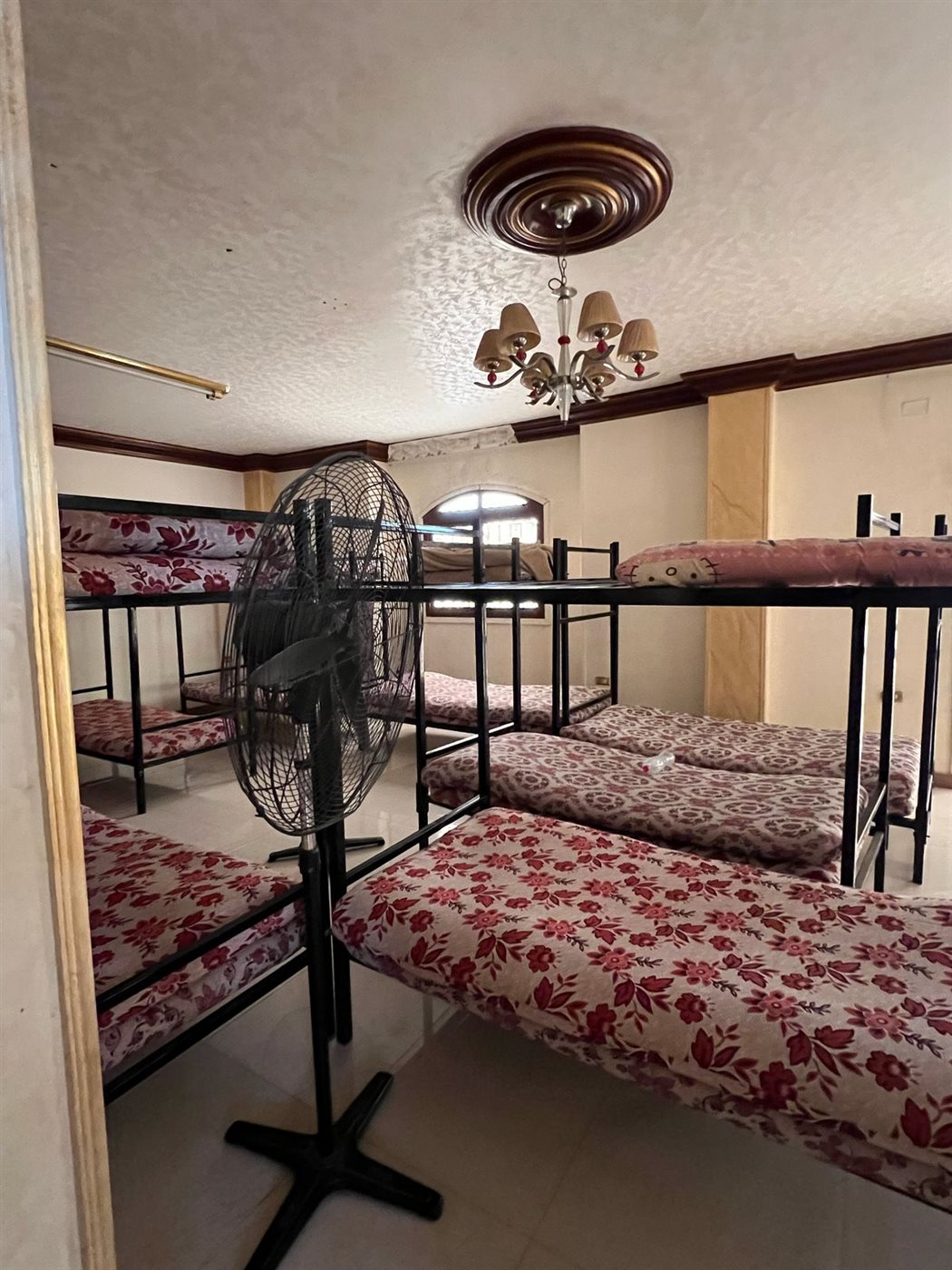 مراكز علاج الإدمان الغير مرخصة في الإسماعيلية، فيتو