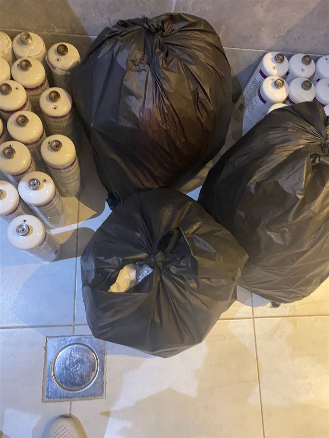 جانب من الحملة، فيتو