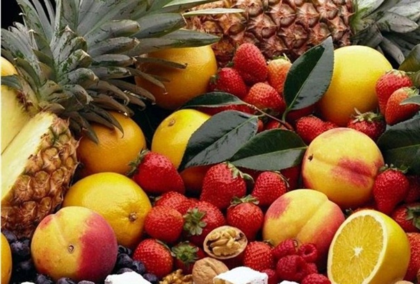 أسعار الفاكهة اليوم، فيتو