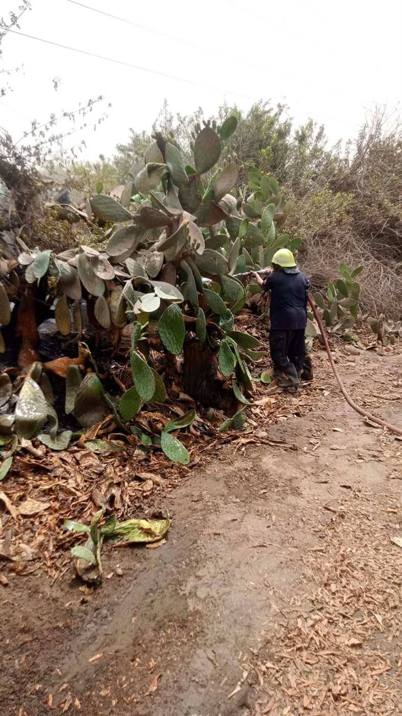 حريق مستعمرة الجذام الخانكة القليوبية  ، فيتو 