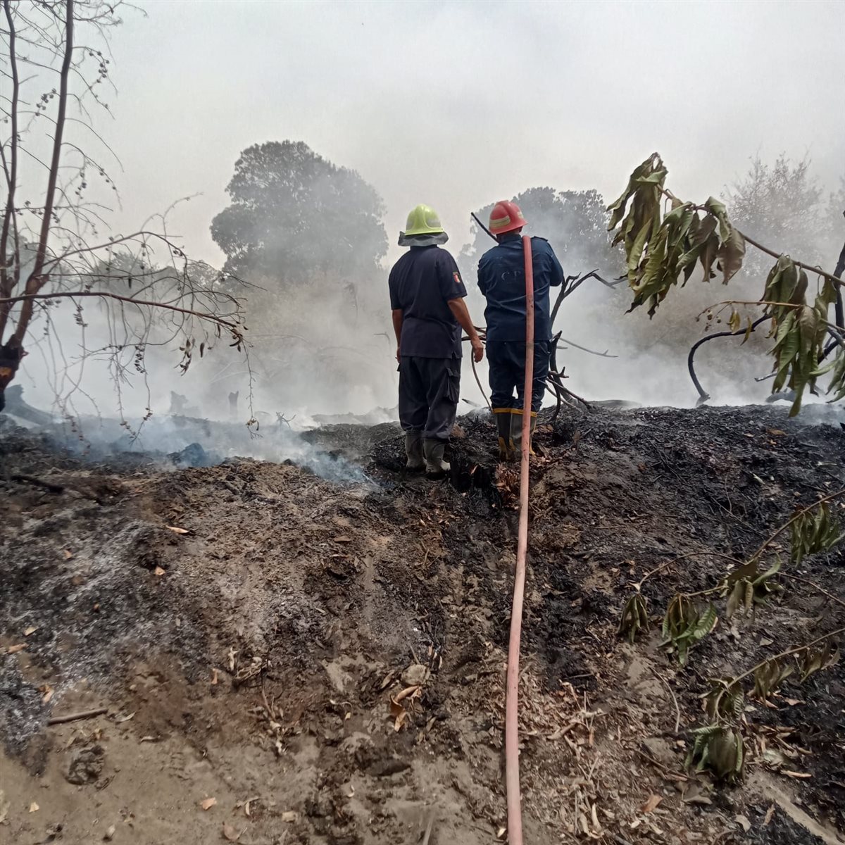 حريق مستعمرة الجذام الخانكة القليوبية  ، فيتو 