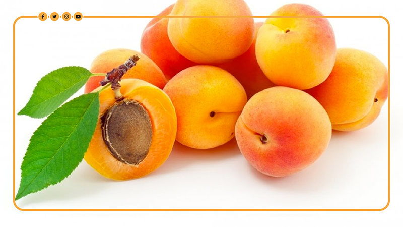 فوائد المشمش