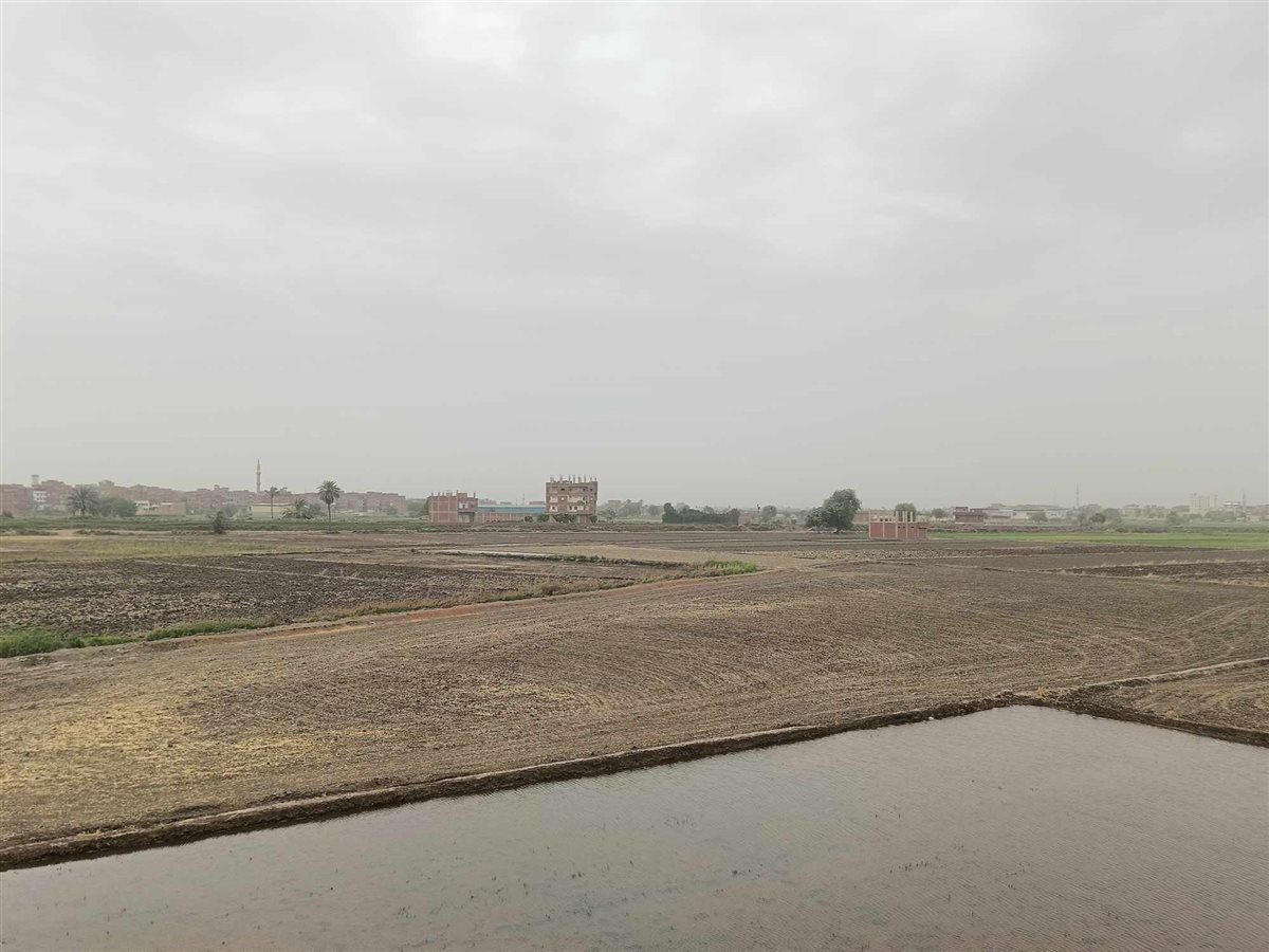 تقلبات جوية ورياح محملة بالأتربة تضرب الشرقية،فيتو