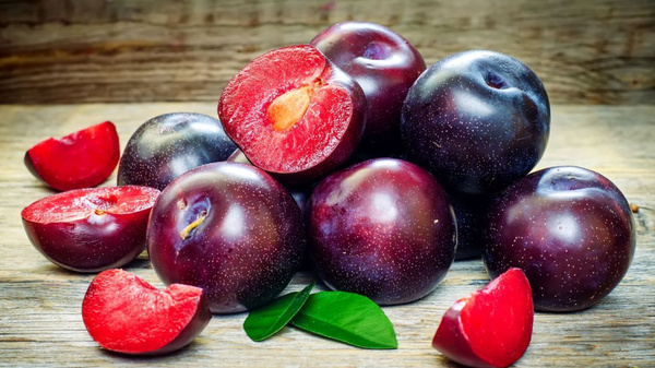 اسعار البرقوق