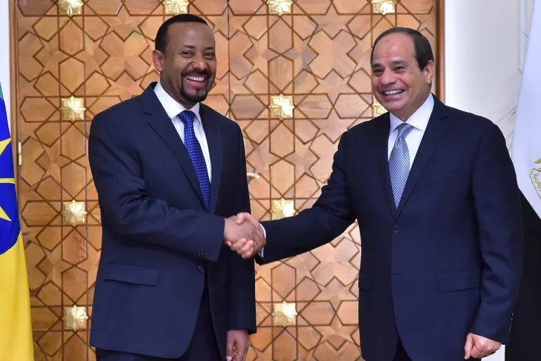 جهود مصر الدبلوماسية لم تتوقف لإقرار حقوقها في النيل، فيتو