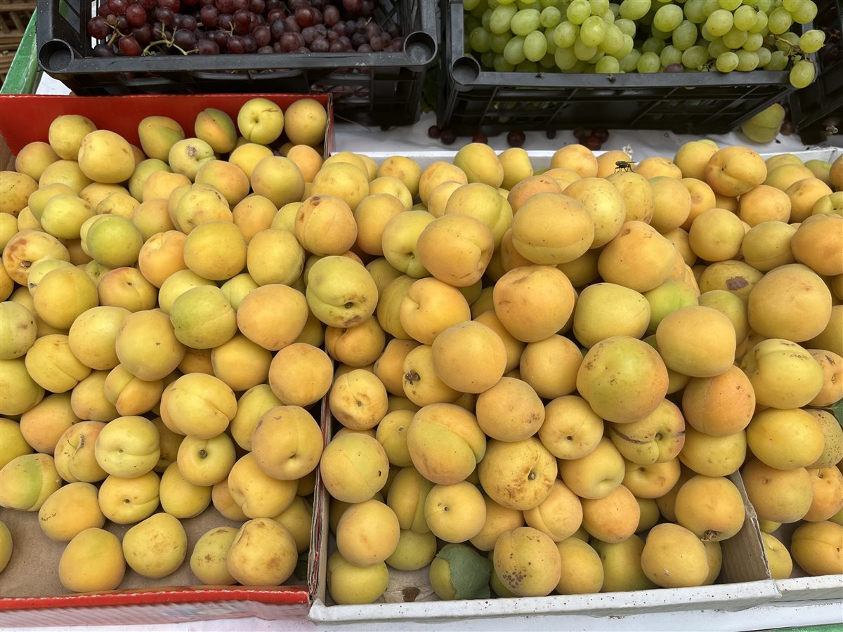 اسعار الفاكهة بالبحيرة، فيتو