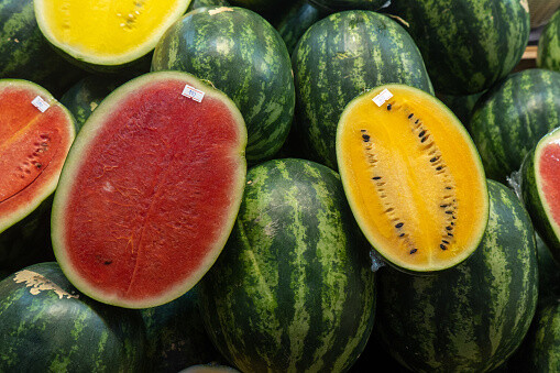 سعر البطيخ اليوم