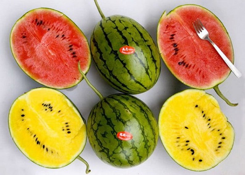 سعر البطيخ اليوم