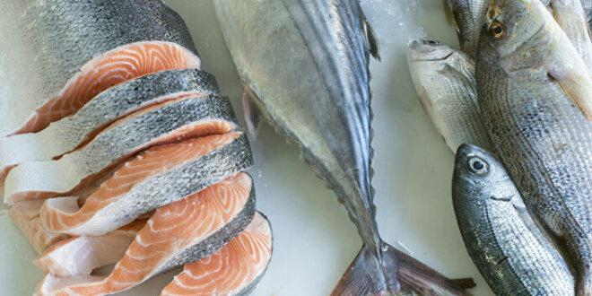 سعر كيلو السمك