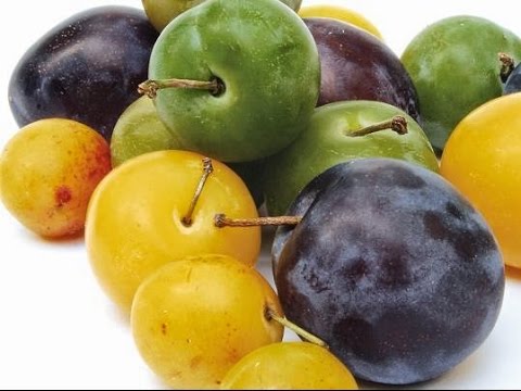 البرقوق لصحتك