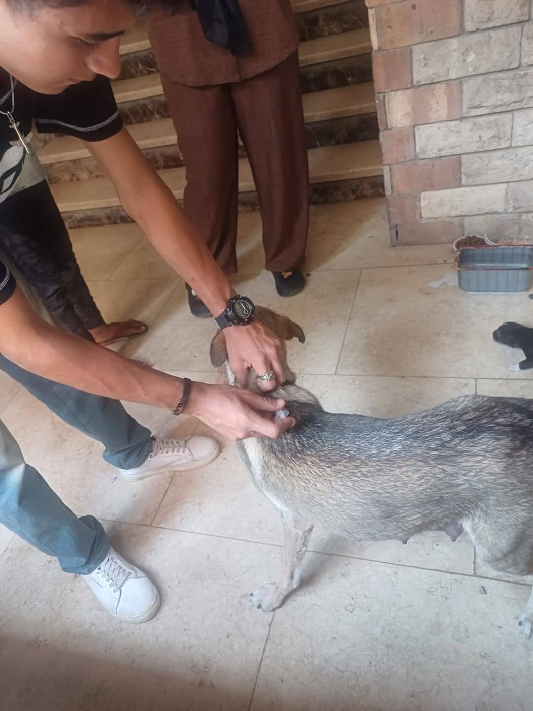 جانب من الحملة، فيتو