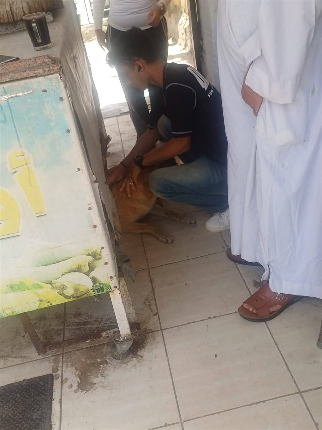 جانب من الحملة، فيتو