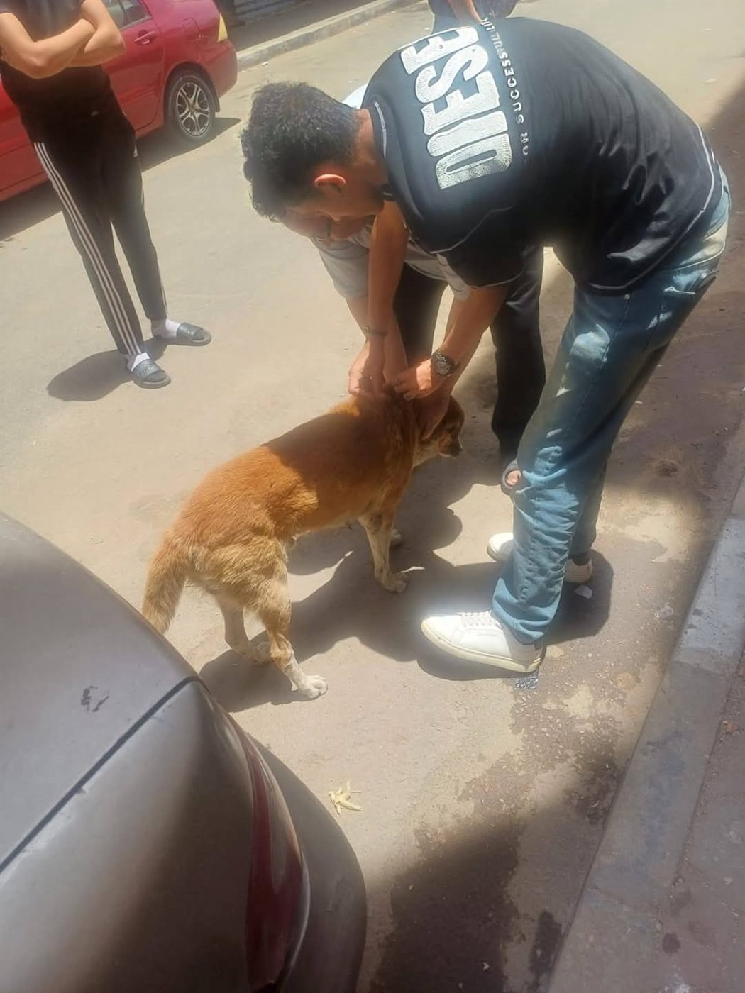 جانب من الحملة، فيتو