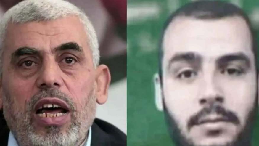 حقيقة استشهاد محمد السنوار، فيتو