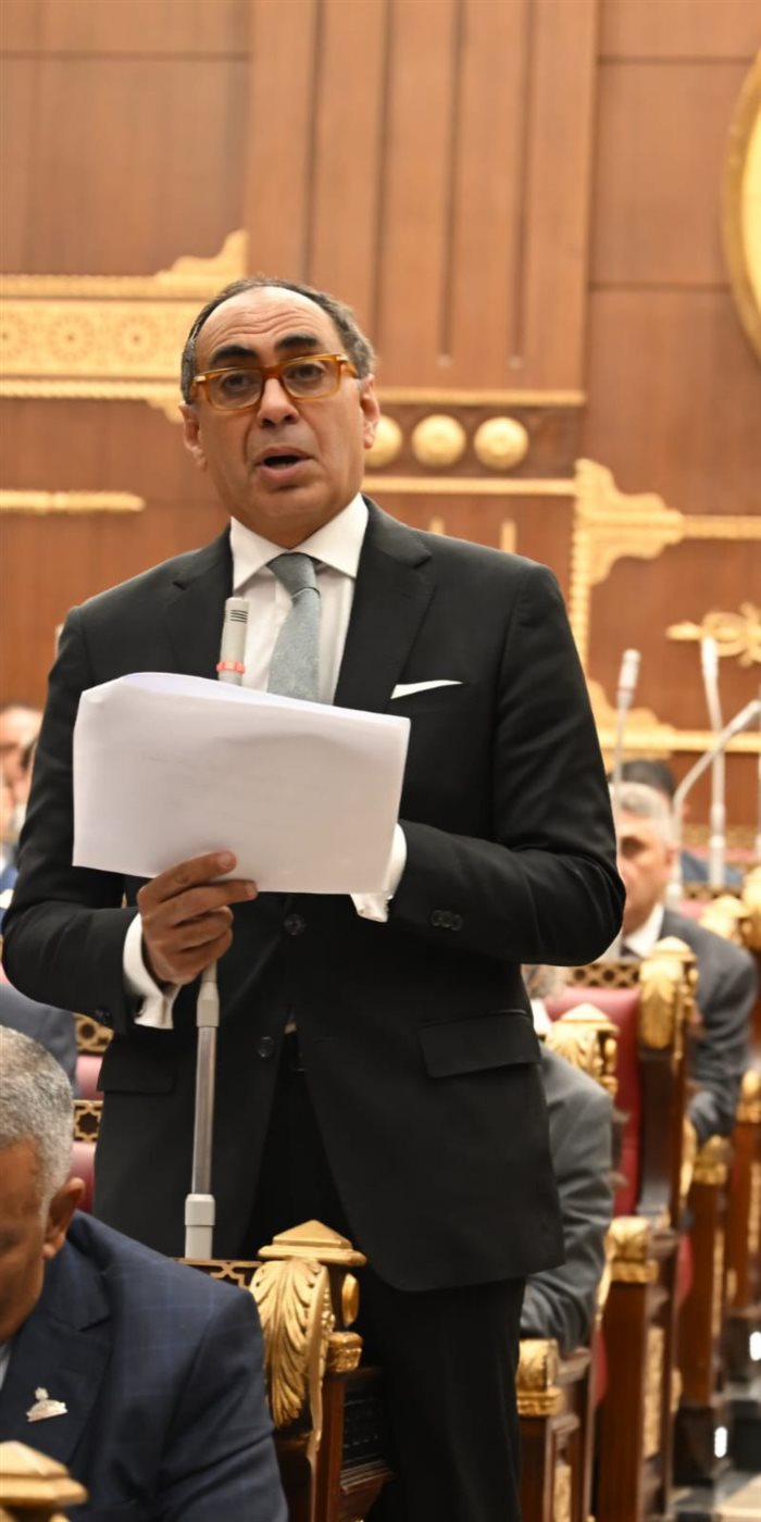 النائب هاني سري الدين أمام جلسة الشيوخ 