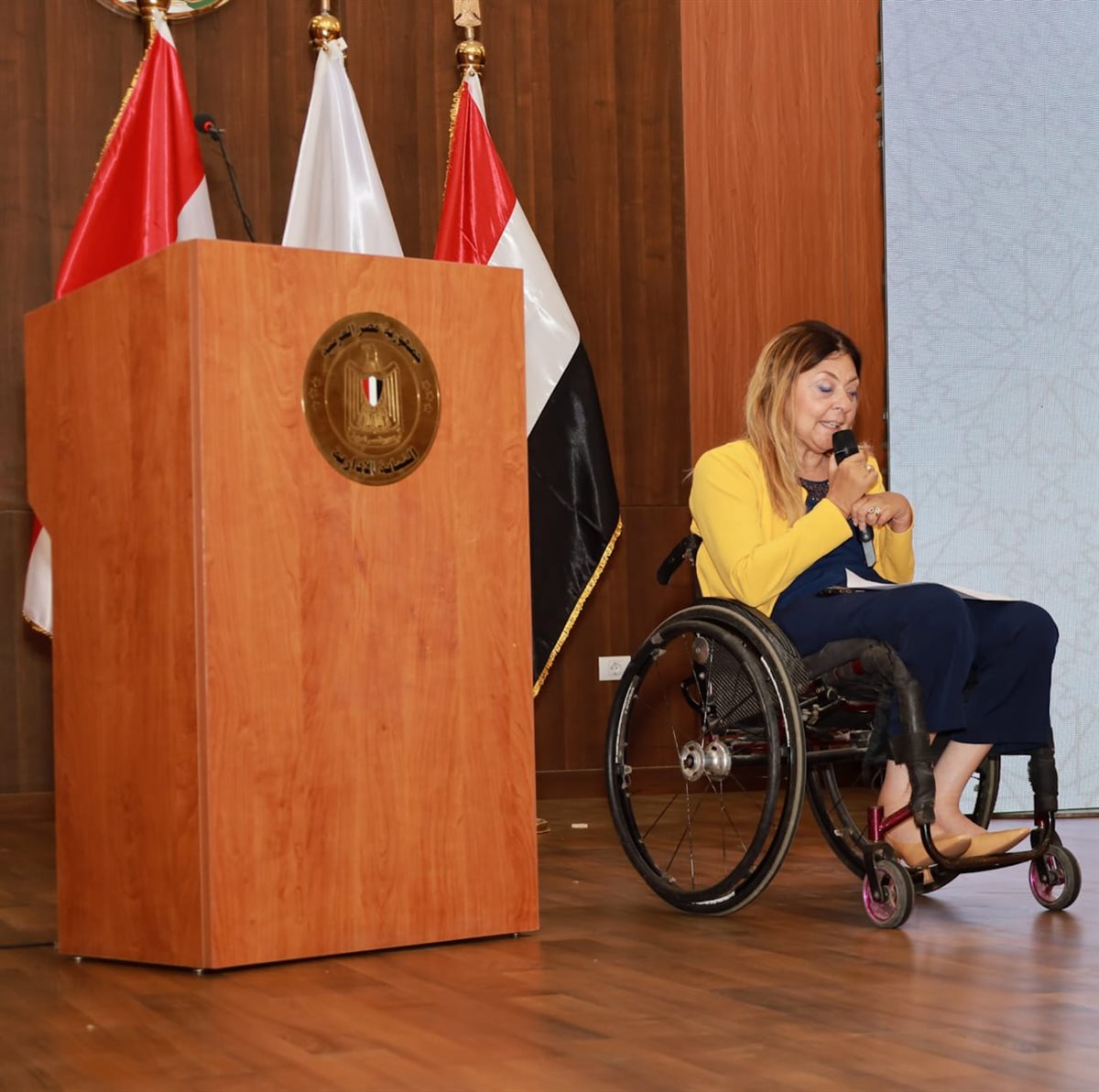 النيابة الإدارية