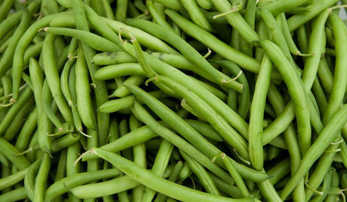 فوائد الفاصوليا الخضراء 