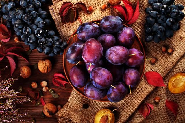 أسعار الفاكهة اليوم، فيتو