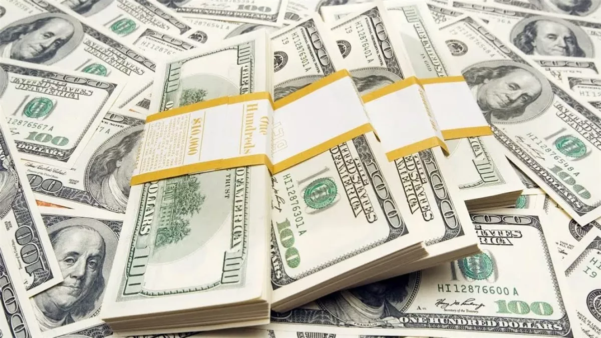 سعر الدولار 