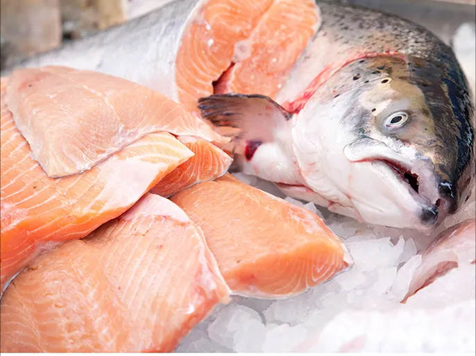 اسعار السمك