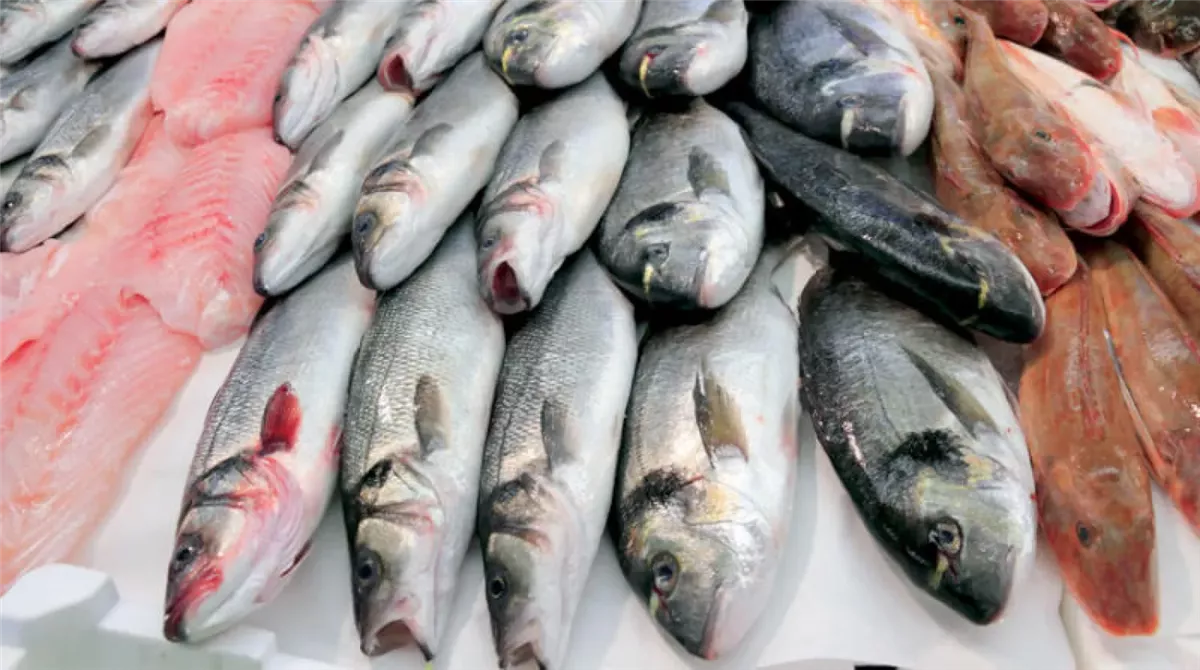 اسعار السمك