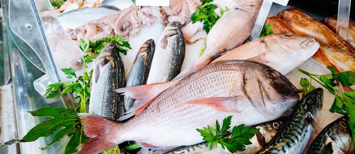 اسعار السمك