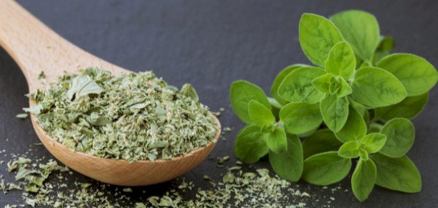 فوائد البردقوش للصحة