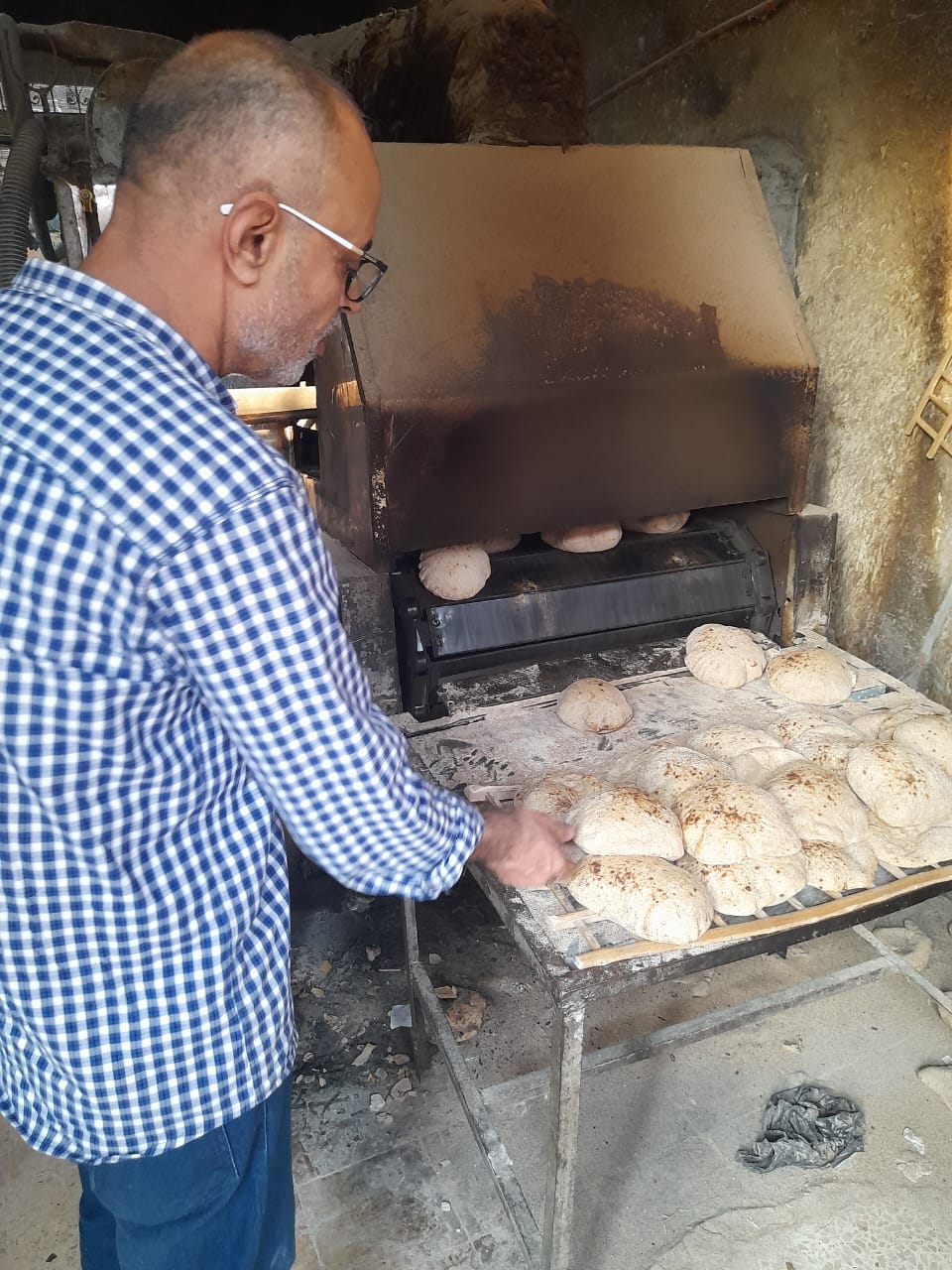 جانب من الحملات، فيتو